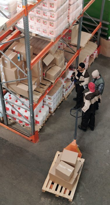 pexels-tiger-lily-4481258